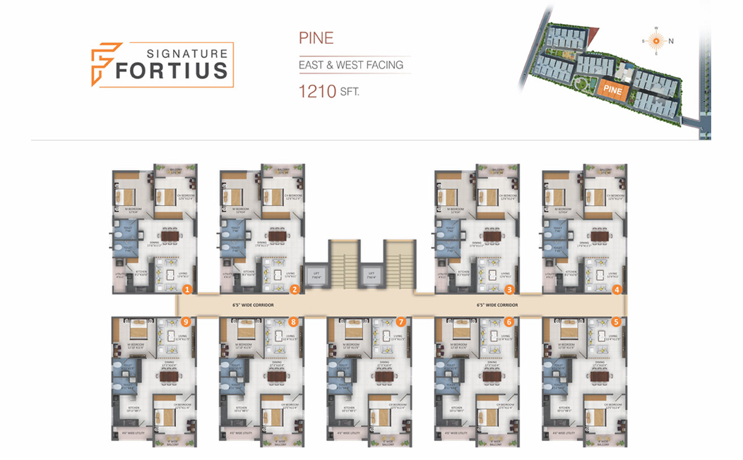 Myron Dynasty image 1