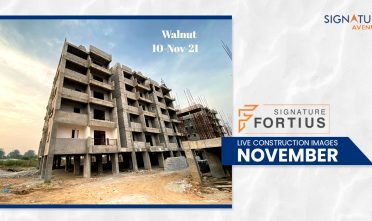 Fortius-November-2