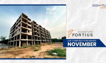 Fortius-November-6